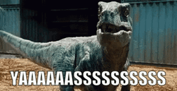 Velociraptor Dinosaur Yas GIF