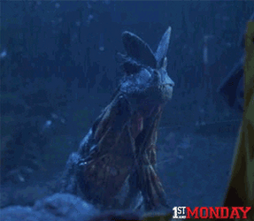 Velociraptor Feathered Wings Didn't Read GIF