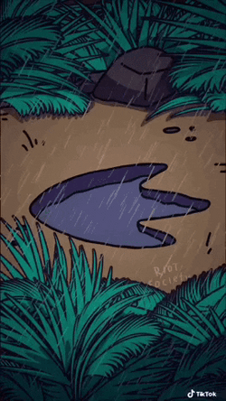 Velociraptor Foot Trace In Forest GIF