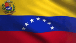 Venezuela Flag Flowing