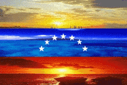 Venezuela Flag Spot