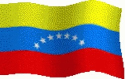 Venezuela Rough Flag