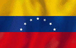Venezuela Wavy Flag