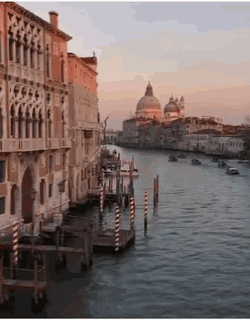 Venice Italy GIF