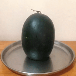 Venom Watermelon Funny Meme GIF