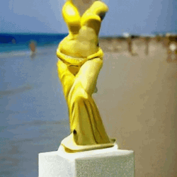 Venus De Milo In Different Beaches GIF