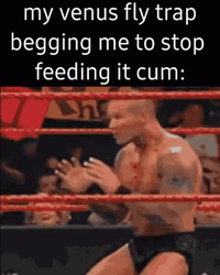 Venus Fly Trap WWE Meme GIF