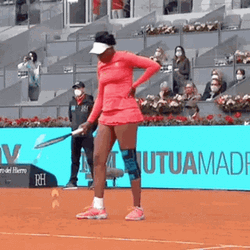 Venus Williams Bounces Ball GIF