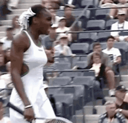 Venus Williams Grimace GIF