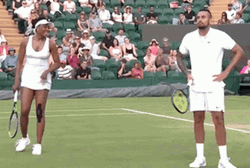 Venus Williams Laughing Nick Kyrgios GIF
