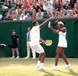 Venus Williams Nick Kyrgios GIF