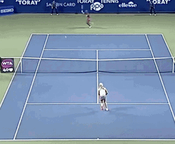 Venus Williams Passing Shot GIF