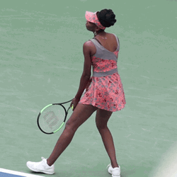 Venus Williams Tennis Serve GIF