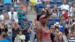 Venus Williams Waving Slow Motion GIF