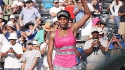 Venus Williams Waving Style GIF