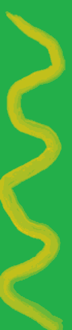 Vertical Brush GIF