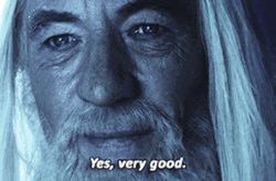 Very Good Gandalf Yes  GIF