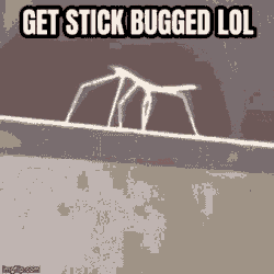 Very Importatn GIF