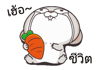 Very Miss Rabbit I'm Totally! GIF
