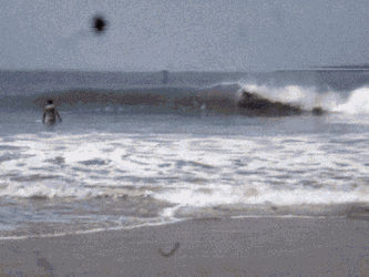 Ves Viviendoelsurf GIF