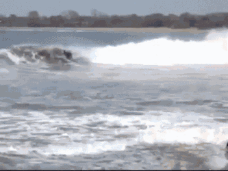 Ves Viviendoelsurf GIF