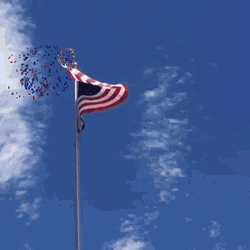Veterans Day Honoring Service United States Flag Fireworks