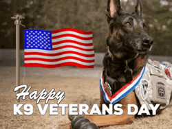 Veterans Day K9 Dog American Flag