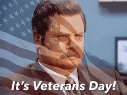 Veterans Day Remembrance American Flag Ron Swanson