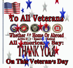 Veterans Day Thank You American Soldiers Flag Stars GIF