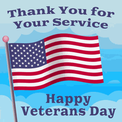 Veterans Day Thank You Service American Flag