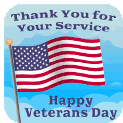 Veterans Day Thank You Veterans Sticker GIF