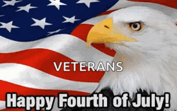 Veterans Happy Fourth Of July GIF