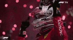 Vettel Leclerc Collision Cheering GIF