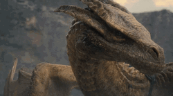 Vhagar Dragon Shaking Its Head GIF
