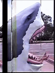Vhs Effect Shark Statue GIF