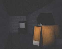 Vhs Screen Effect Roblox Character GIF