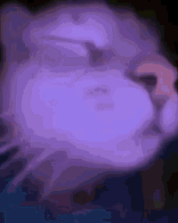 Vibing Cat Dancing Neon Lights GIF