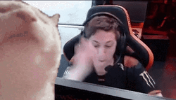 Vibing Cat Fnatic VALORANT GIF