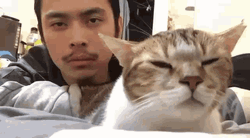 Vibing Cat Guy Nodding Music GIF