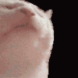 Vibing Cat Head Rocking GIF