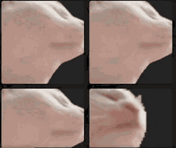 Vibing Cat Split Screen GIF