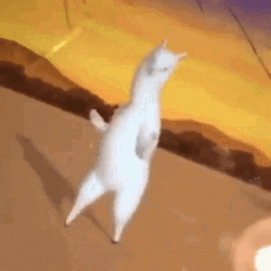 Vibing Llama Dancing GIF