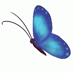 Vibrant Blue Butterfly Sticker
