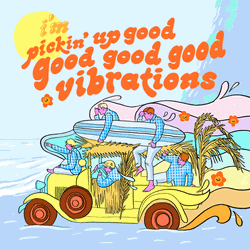 Vibrate Adventure The Beach Boys  GIF