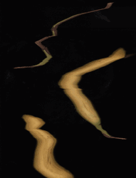 Vibrate Effect Abstract Lines GIF