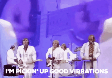 Vibrate Happy Vibes The Beach Boys Song GIF