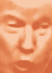 Vibrate Trump Mouth Funny Meme GIF