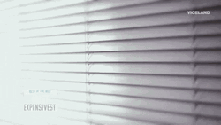 Viceland Spy Through Blinds GIF