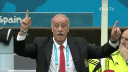 Vicente Del Bosque Coaching GIF