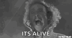 Victor Frankenstein Gene Wilder Its Alive GIF